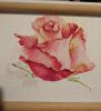 IMG_20200501_182514.jpg