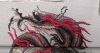 IMG_20201010_172456.thumb.jpg.6ef94fcded4344f9cf7631d72489f79c.jpg
