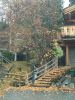 IMG_20201029_105259.thumb.jpg.cfb652dd776c5304c4213d26930a8f9b.jpg