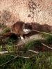 IMG_20201031_131901.thumb.jpg.7cf7ff6d9c4fe108de2bc55c5090be24.jpg