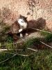 IMG_20201031_131906.thumb.jpg.e1ef5160723513d38777217679601c6a.jpg