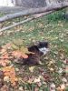 IMG_20201031_132229.thumb.jpg.ffdf3aba93c8cf2b26f538924ad28a96.jpg