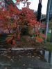IMG_20201031_140322.thumb.jpg.fc25b665e25e4769ef181a89ded2c3e3.jpg