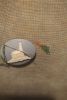 IMG_20201031_1856217.jpg