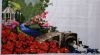 IMG_20201106_015359.thumb.jpg.ac2027959c0c89a14811a570a8da7c62.jpg