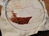 IMG_20201106_124718.jpg