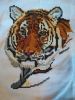 IMG_20201106_124801.thumb.jpg.b2f4357b0b0a1f235c6b9e1b5da162bc.jpg