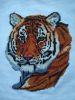 IMG_20201108_123124.thumb.jpg.906f3d4835ad63ed53d58bb92b43375a.jpg