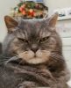 IMG_20201111_120436.thumb.jpg.54b15cf53d9b82485e7548205ca1abf8.jpg