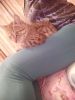 IMG_20201112_171607.thumb.jpg.2c536f51e1f7b8a729b49e51798a72ce.jpg