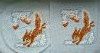 IMG_20201114_130805.thumb.jpg.3801984442787813f06ed993be88eaf2.jpg?1605348814996