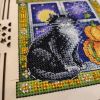 IMG_20201114_160944.thumb.jpg.e732e78807114f76869a3b33d507dcc9.jpg