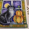IMG_20201114_161142.thumb.jpg.fe95205b3ce0cae1b0c61ad6c08237d3.jpg
