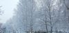 IMG_20201117_094502.thumb.jpg.88d5f15dc67b4e6a802f60f8e9fe62be.jpg