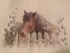 IMG_20201118_203533.thumb.jpg.cea4c48dab77d1edb1bc637da2de1cb5.jpg?1606197975878