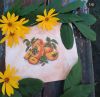 IMG_20201124_005906.jpg