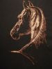 IMG_20201126_210038.jpg