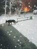 IMG_20201127_101303.thumb.jpg.b1e482f060a82a963e901342256c2d3f.jpg