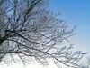 IMG_20201127_170448.thumb.jpg.cf49da682172051bb2fa2b53371bf14c.jpg