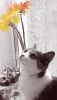 IMG_20201129_082611.thumb.jpg.16bbc87a56a9fddf2737a63e85e0fc69.jpg