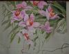 Orchids5.JPG.6bb37ff80a4b999a8d4b633ea83fe3a7.thumb.jpg.af26722ad8b9e816cb915b968074db80.jpg