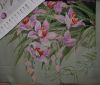 Orchids6.JPG.0162546c08f9cb13fe2cea4c295f4ec6.thumb.jpg.b7b0382355a6a4fbf39af7aa33e0cdc5.jpg