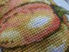 P1320137.thumb.JPG.4bd88bd0a827dd5a330e6792d87058e4.JPG