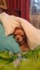 im-upload-image-1562755502637.thumb.jpg.0c31c7cf1bb3fb8ee539513b522c8680.jpg
