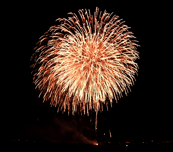 image-1.gif