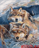 image.thumb.png.43db9c84cb87c6560b97543ae00fcc04.png