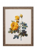 image.thumb.png.8388edbcc292853db800d7812f00d595.png