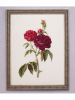 image.thumb.png.8c8566130662de6d831387e41c9f15e6.png