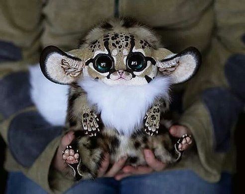 Аватар Kitty1206