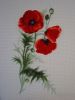 1174434767_.thumb.JPG.19de6b09443e0fbecb616d75e53522e3.JPG