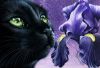 1179759295_PurpleIris.thumb.JPG.21422bcead06018e9960d9d584319d69.JPG