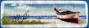 1207432256_.thumb.JPG.710810de8f343373c1b4d8ba64a31212.JPG