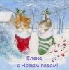 1272162147_.thumb.jpg.67a11ae64b479fdfe338f586f964c7e2.jpg