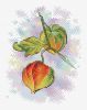 1317308125_.jpg.66df373db6bbf7c4803cb78c387a9be9.thumb.jpg.4a6bae93ddd552ceb7c4e635d4ca67aa.jpg