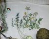 1559278822_2.jpg.124ce3c17b6f26bd647fb1e45c568a71.thumb.jpg.2e18a726f11aa40e3d520d3db27b0e11.jpg