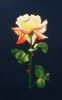 1light712.thumb.jpg.e309f31f468bb4d32d9d956d25aac3b8.jpg