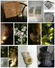 201224_115148_COLLAGE-1.thumb.jpg.c464028b7e9dec8aa520f3904bf87a6d.jpg