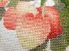 20201130_121725.thumb.jpg.4c48df1973bffd9a48c5cbdb1ed7e50d.jpg