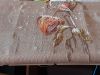 20201203_143856.thumb.jpg.289a57dd2d3926568a6b4016292bf144.jpg
