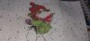 20201204_011006.thumb.jpg.d70423d9841bab4e7c93146fa4920c85.jpg