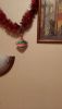 20201208_010607.thumb.jpg.1331be55ca363bc728cc56466b4d6482.jpg