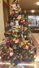 20201214_132750.thumb.jpg.6aaaaf0cfb7f3cc09a410e82711bbedb.jpg