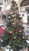 20201214_132912.thumb.jpg.b58133d6f6561a1bb524ac9a9410d769.jpg