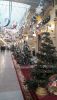 20201214_133842.thumb.jpg.56bb2959312cbef3c17020b35390f480.jpg