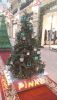 20201214_133919.thumb.jpg.6ffa418cc091c92da7177e134cffe8c7.jpg