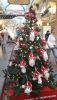 20201214_133944.thumb.jpg.4870d90eed992f7f08b12fa8ab3e7859.jpg